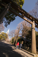 明治神宮の大鳥居