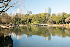 新宿御苑