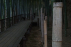 竹藪の小道