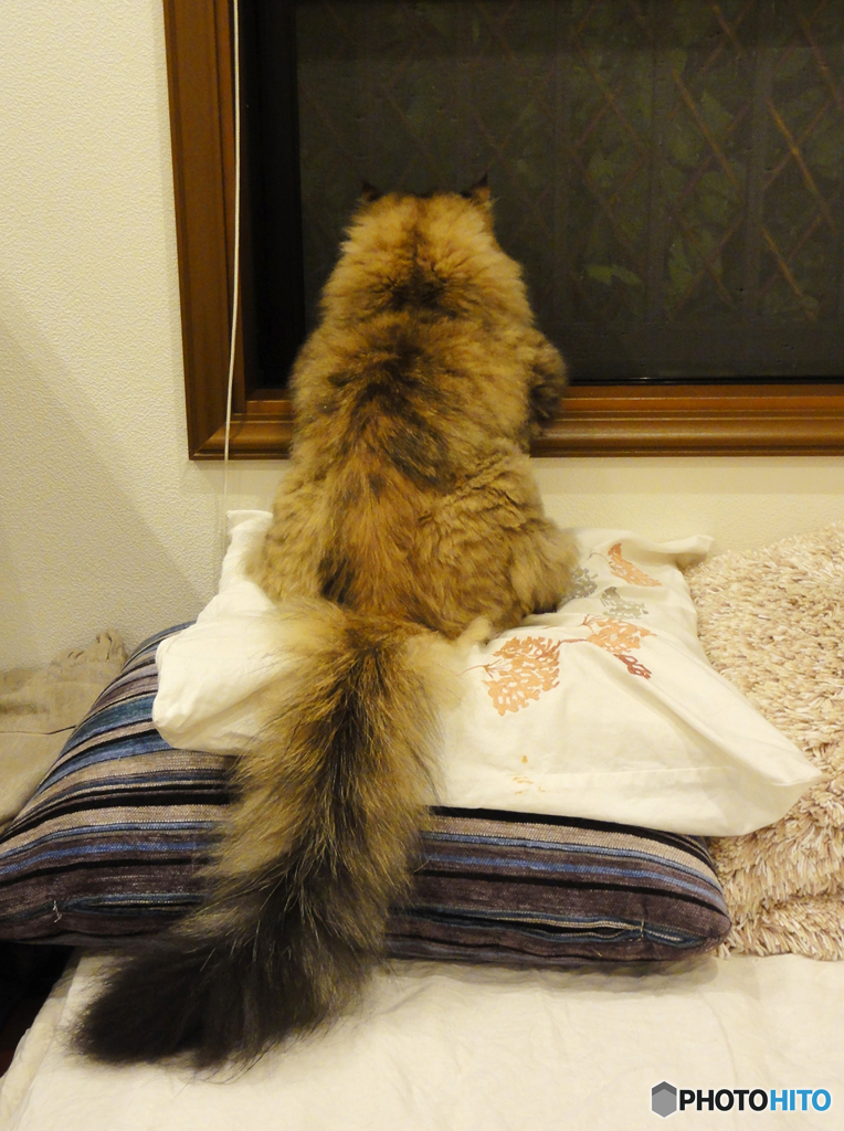FukuChan_sam_2013