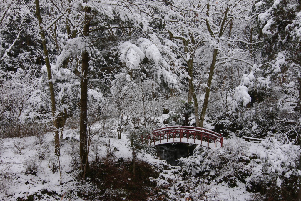 雪景色