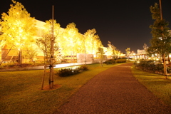 岡崎NIGHT