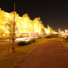 岡崎NIGHT