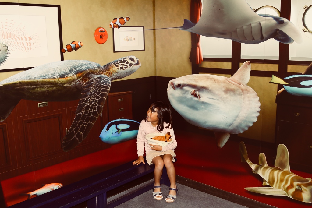 水槽部屋