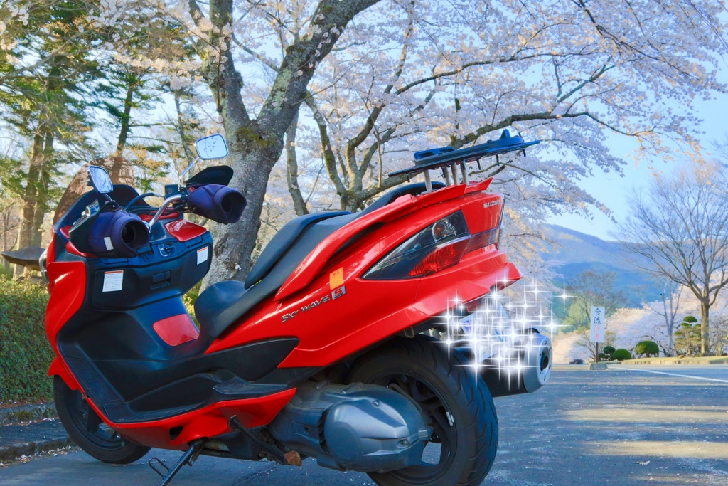 桜ツーリング