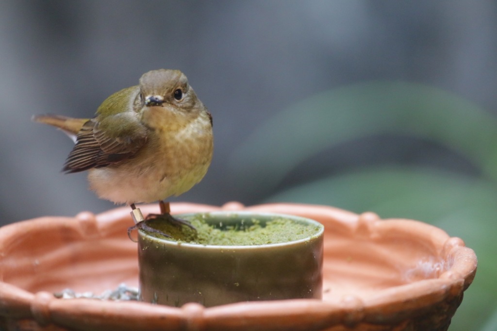 食後の休憩