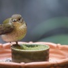 食後の休憩