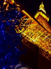 東京観光 東京タワー3
