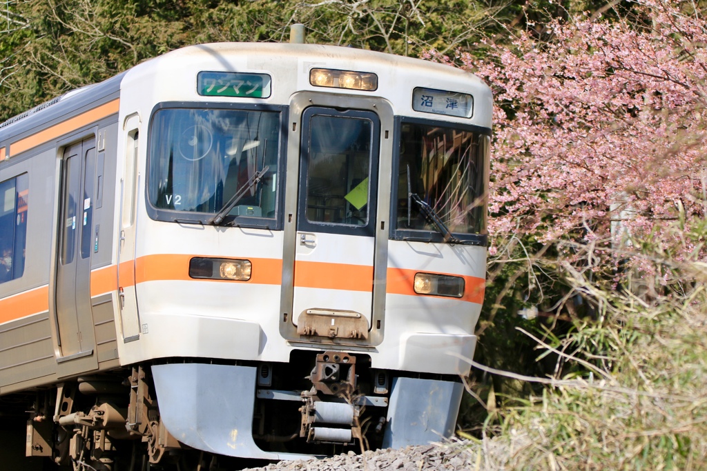 春電車
