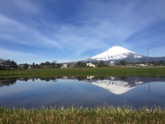 田植え準備