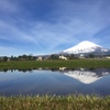 田植え準備