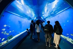 海底トンネル