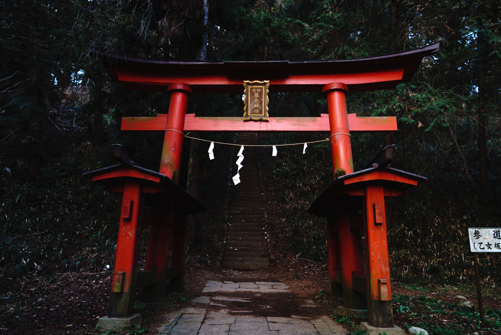 藤武神社 鳥居(表)