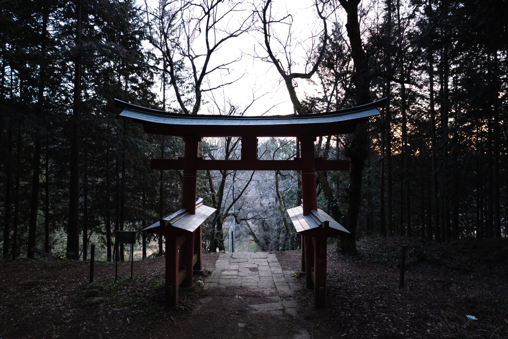 藤武神社 鳥居(裏)