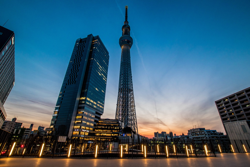 スカイツリー夕景