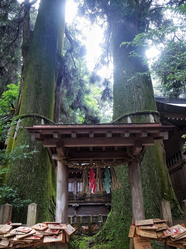 高千穂神社