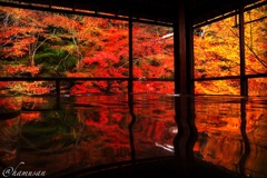 京都 瑠璃光院