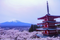 新倉山浅間公園