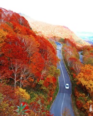福島 紅葉