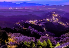 奈良県吉野山