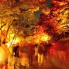 清水寺 紅葉