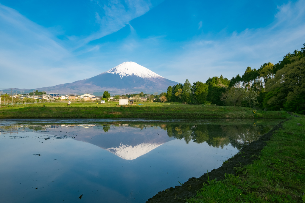 田植え前