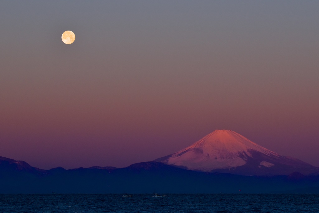 Morning Moon