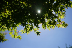 DSC02843