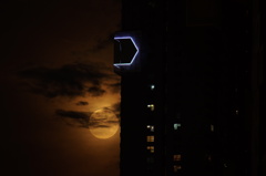 DSC09989