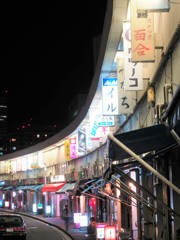 P1100018