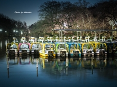夜の井之頭公園