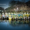 夜の井之頭公園