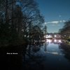 夜の井之頭公園