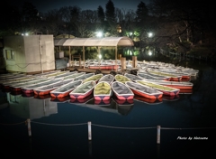 夜の井之頭公園