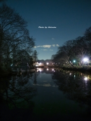 夜の井之頭公園