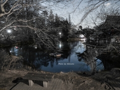 夜の井之頭公園