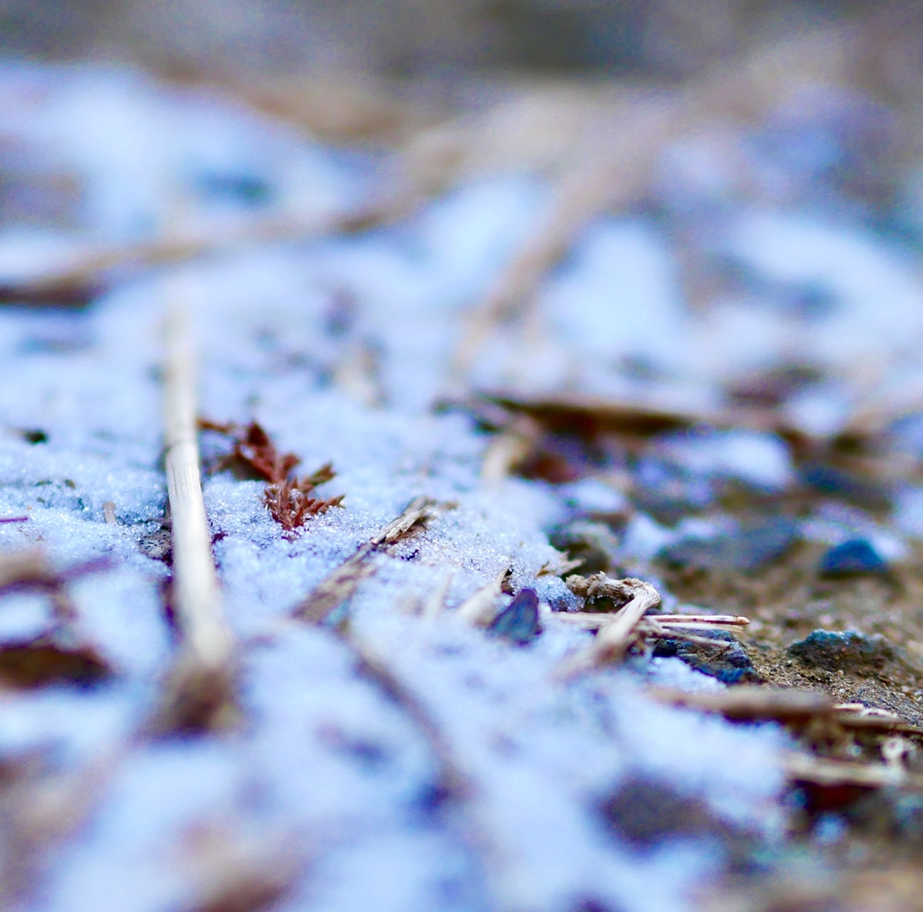 ちょこっとの雪