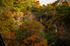 赤目の風景