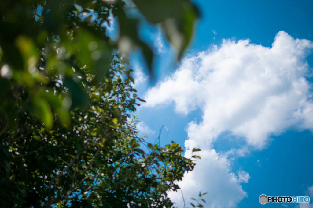 まだ夏空