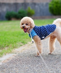 クルっとした舌がまたカワイイいい( *´艸｀)