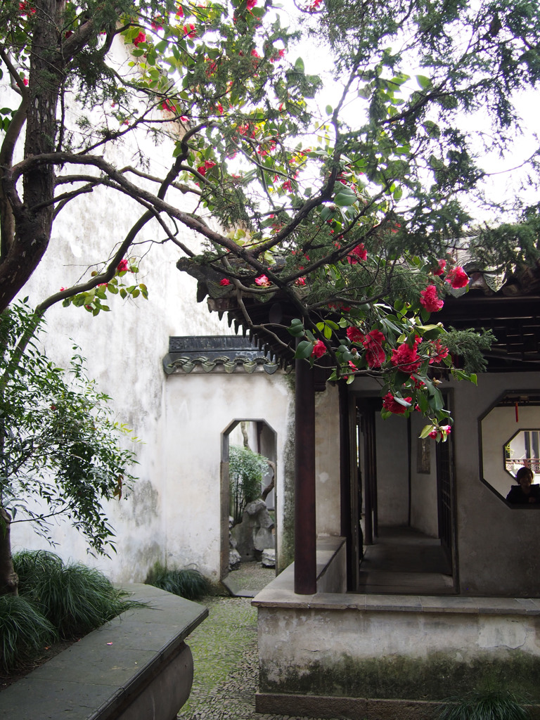 中国庭園01