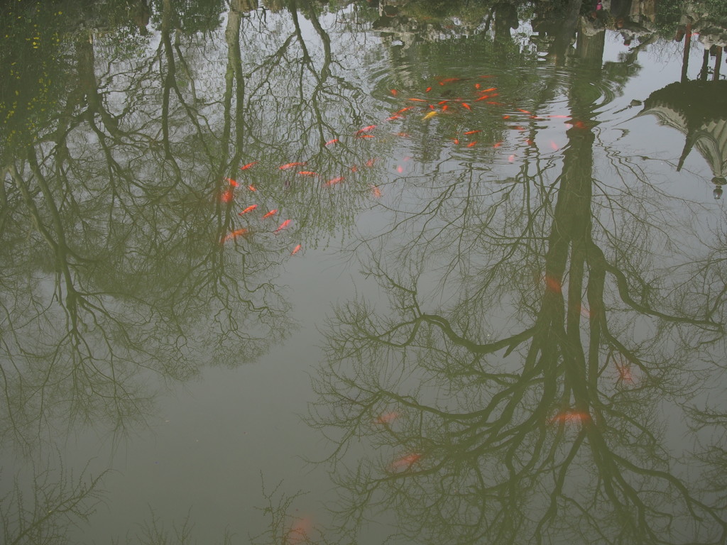 中国庭園05