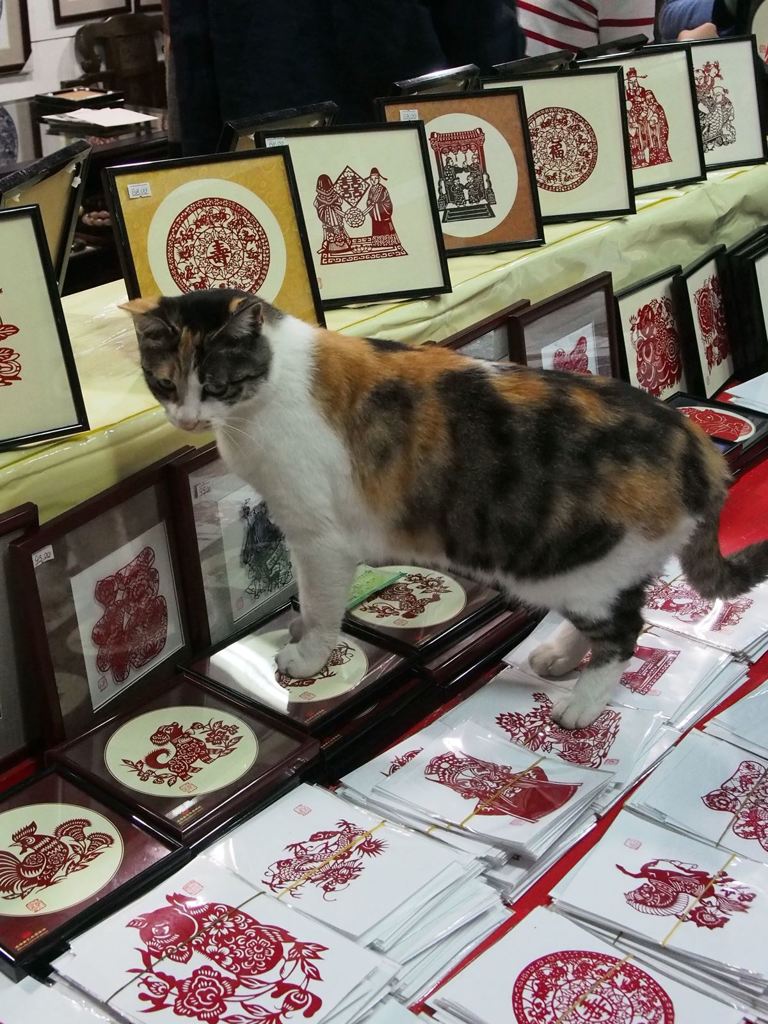 蘇州22_R
