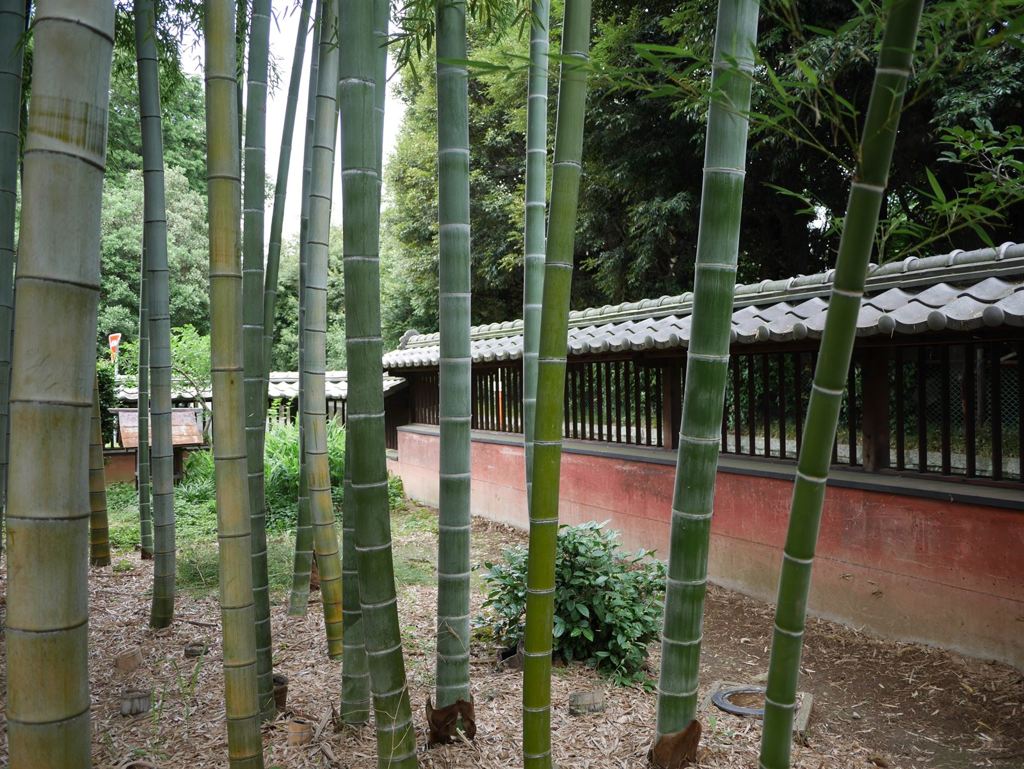 古河02_R