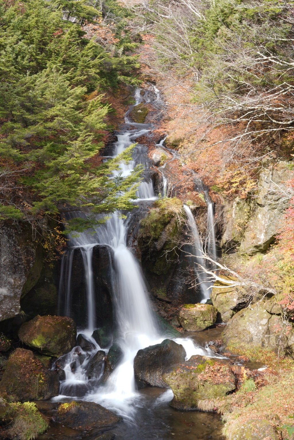 1ADCFCF5-850B-4214-B339-66A56476C82A