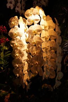 DSC03260