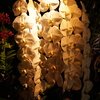 DSC03260