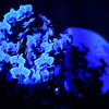 DSC03264
