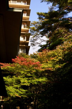 福島県　磐梯熱海温泉