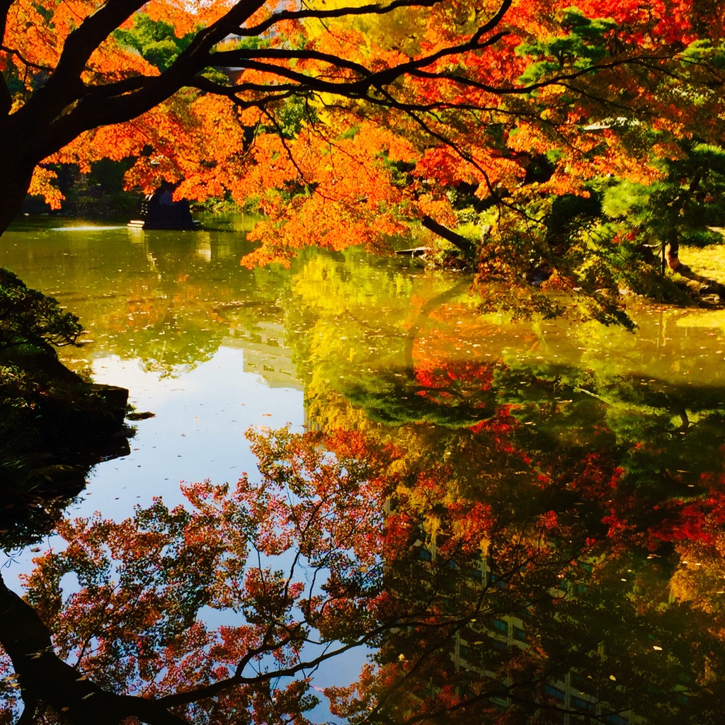 日比谷公園の秋